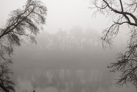 DSCF5135