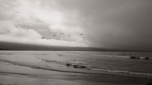 DSCF7893