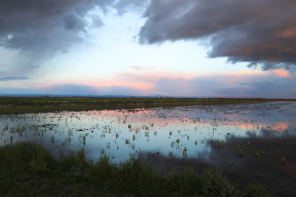2-18-19 sunset on ricefield 3