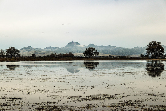 YUBA CITY Buttes
